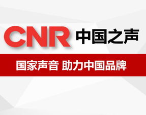 北京廣告咨詢(xún) 城市脈動(dòng)下的品牌策略與市場(chǎng)洞察